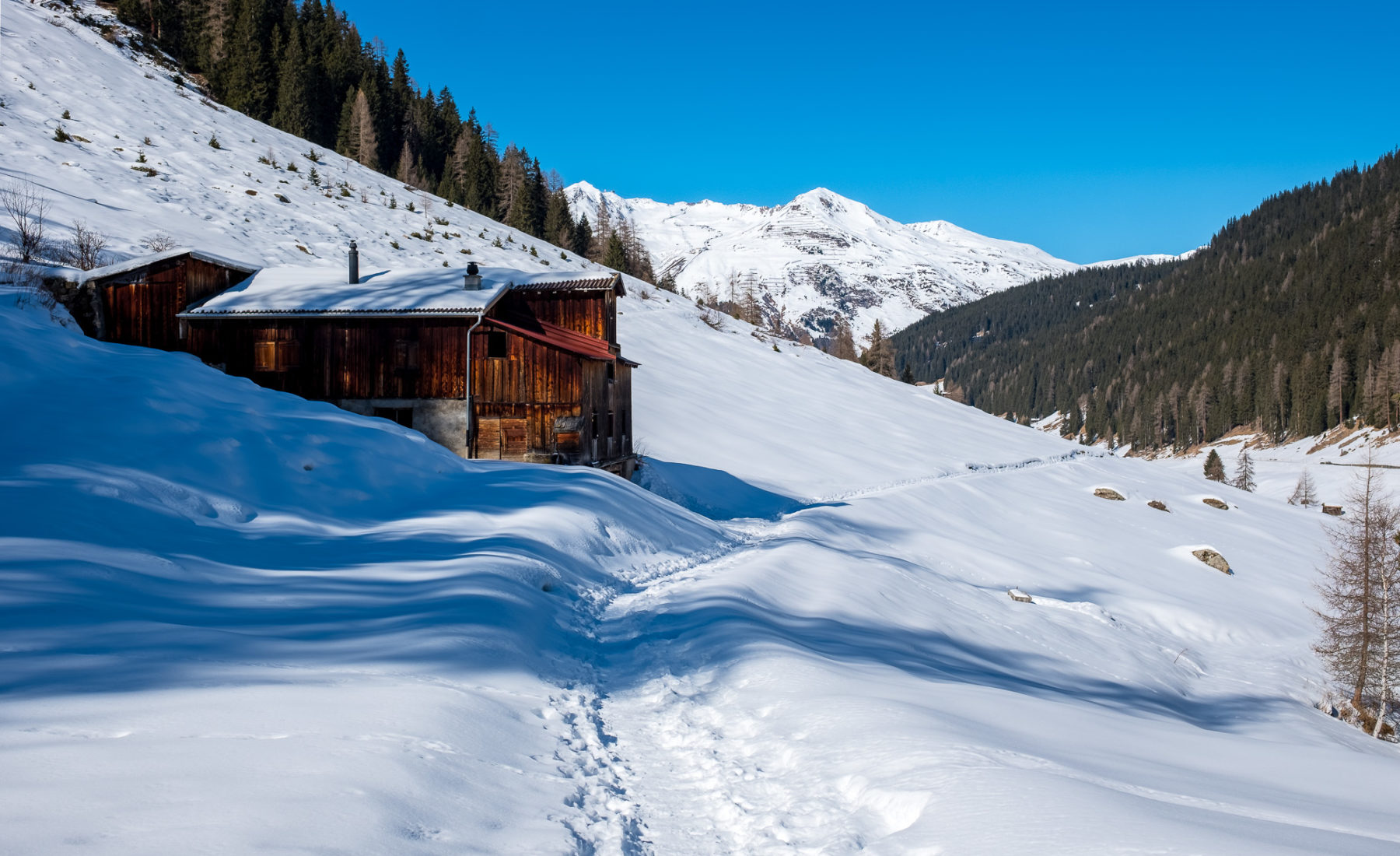Winter-Davos-Meeting mit Mr. Blue Sky* 12. – 15. Febr. 2023